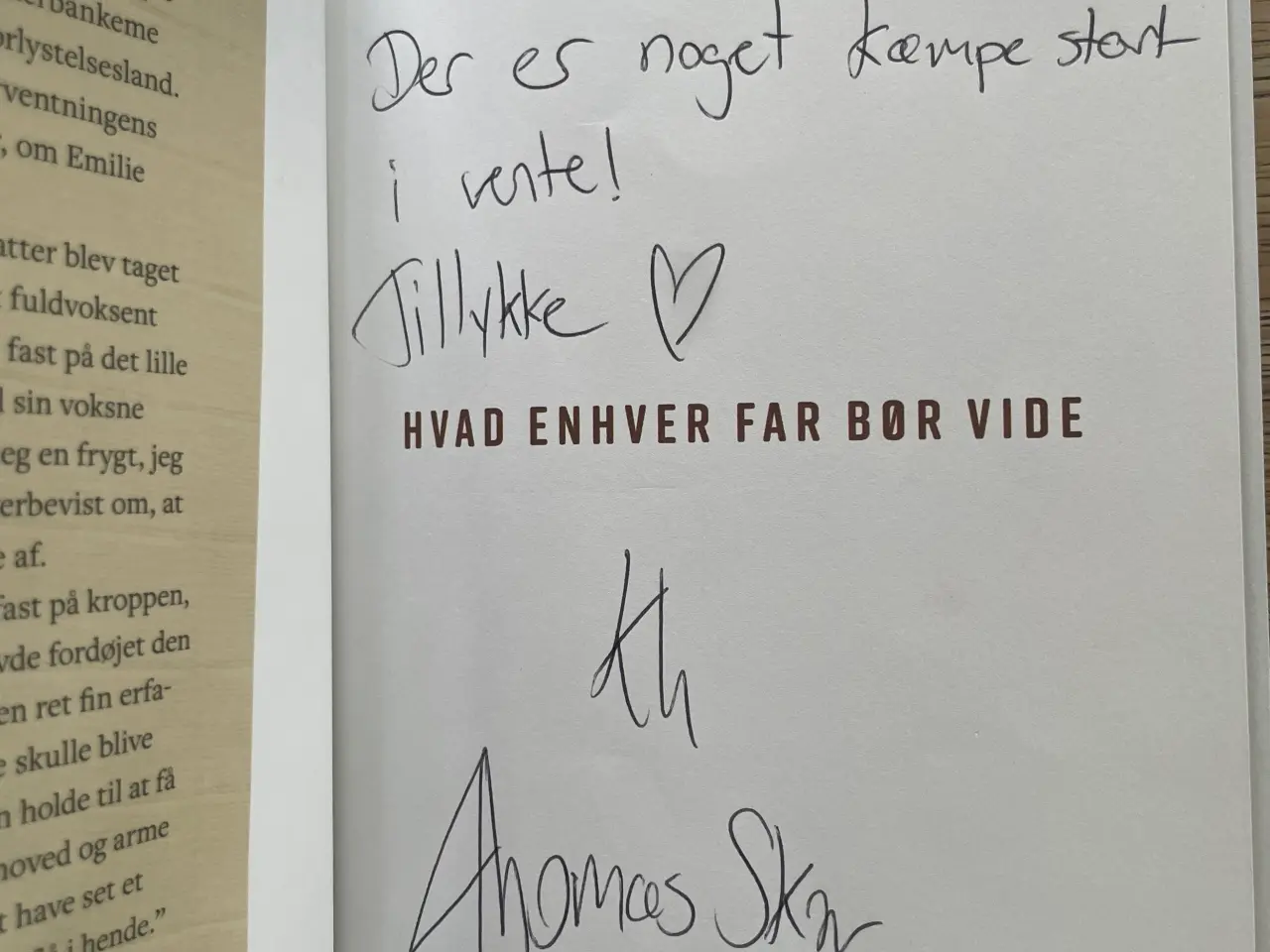 Billede 3 - Hvad enhver far bør vide, Thomas Skov