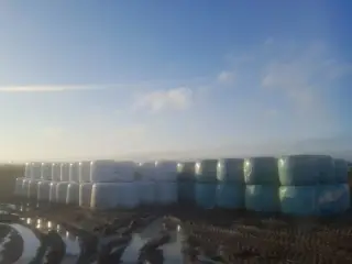 wrap hø tørt