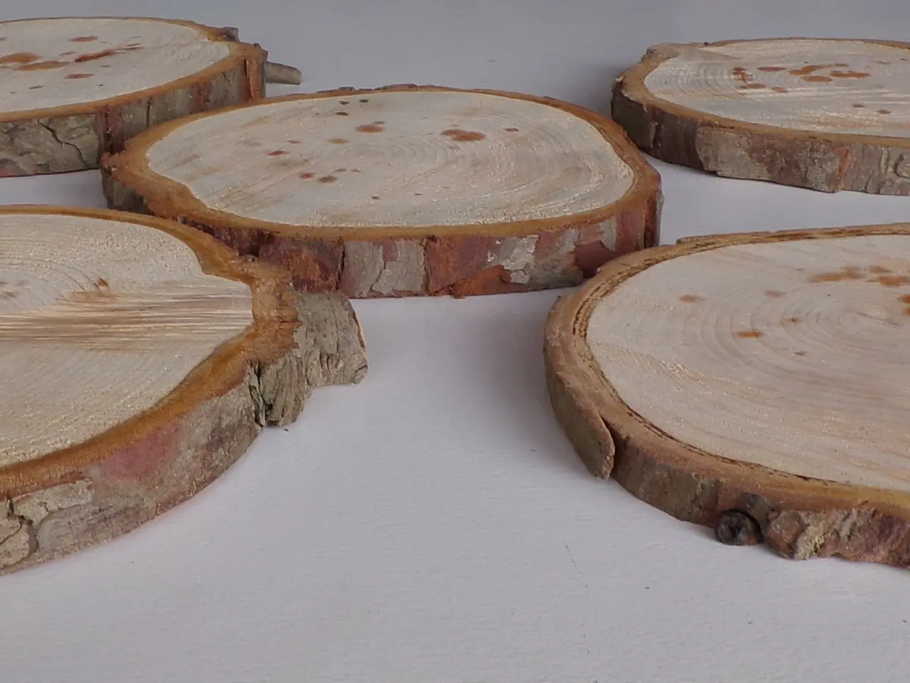 Billede 2 - 5 NYE Thuja Træskiver med bark