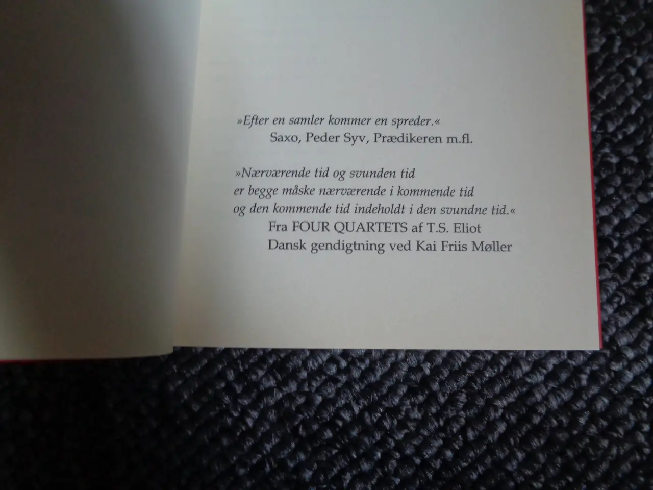 Billede 2 - Spredte digte