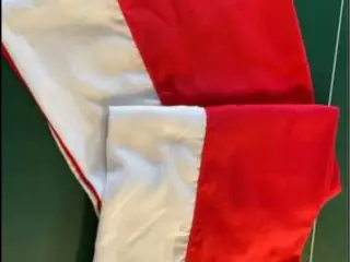 Dannebrogsflag