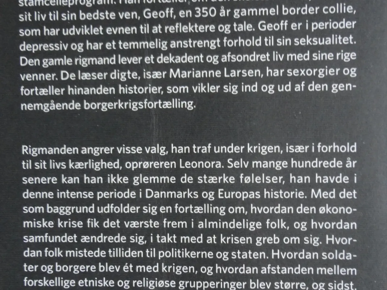 Billede 3 - Den Danske Borgerkrig 2018-24  :
