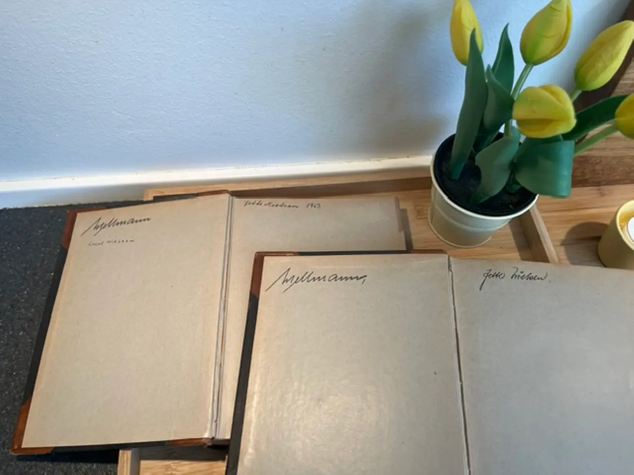 Billede 8 - H.C. Andersen: Eventyr og Historier Kunst-Udgave,