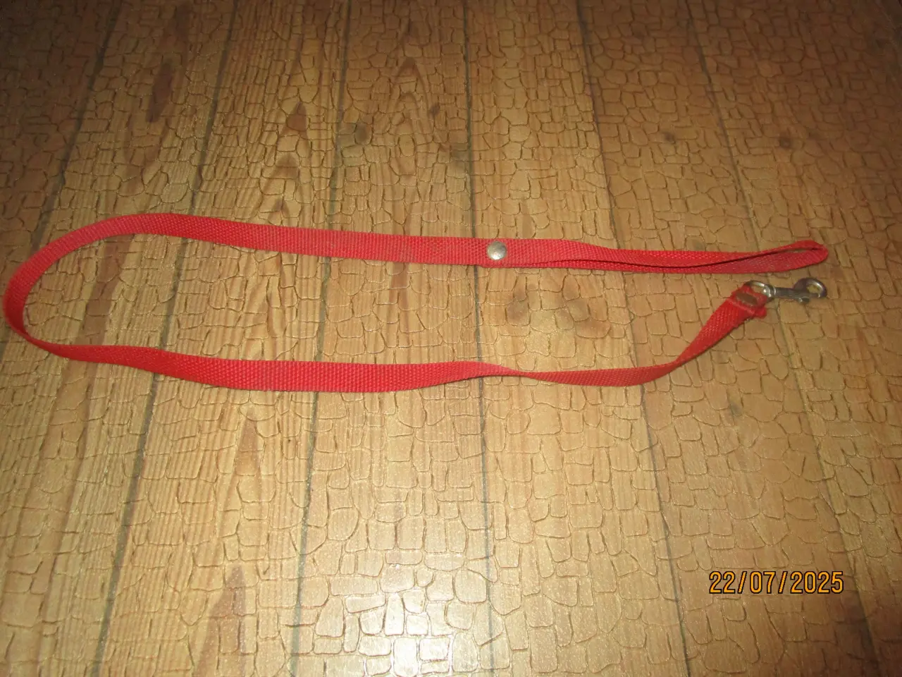 Billede 3 - Masser af ting til både den lille og store hund