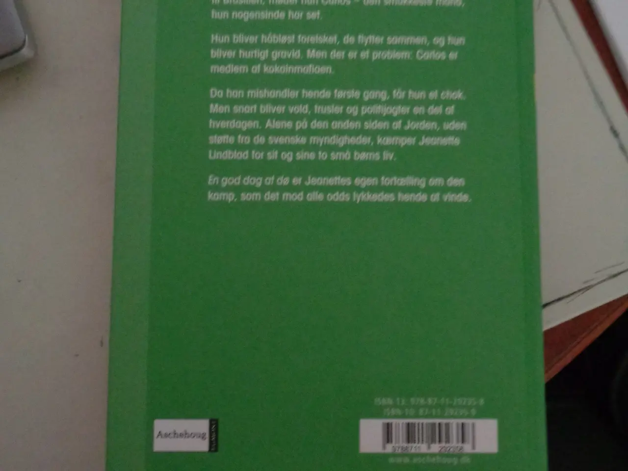 Billede 4 - Virkelighedens verden