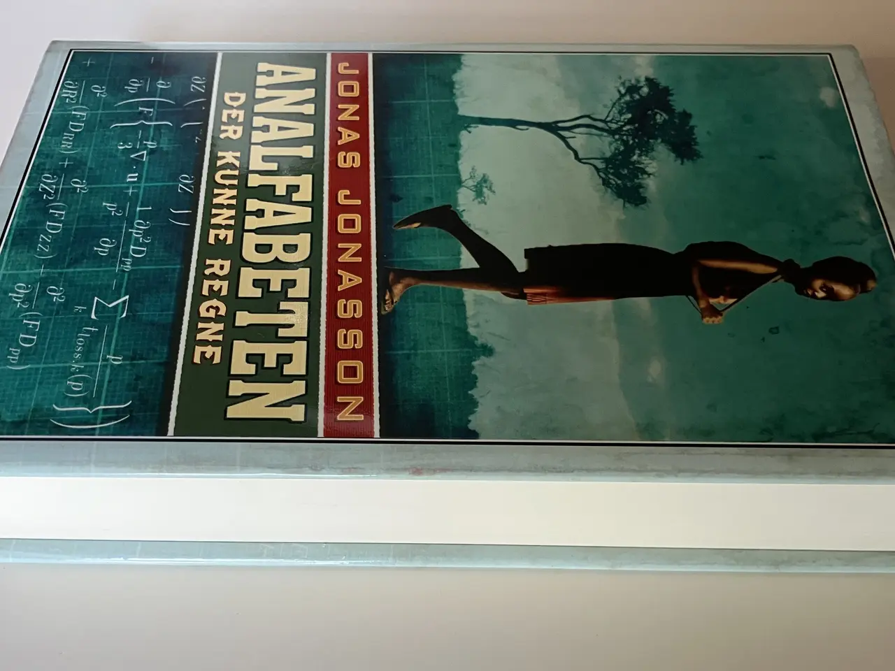 Billede 5 - Analfabeten der kunne regne. Af Jonas Jonasson