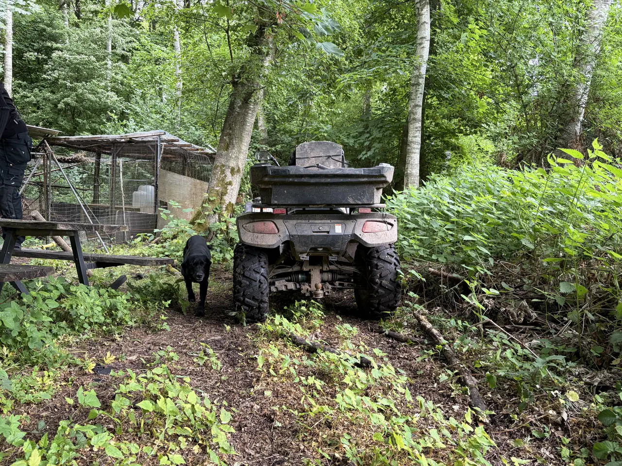 Billede 4 - ATV 600