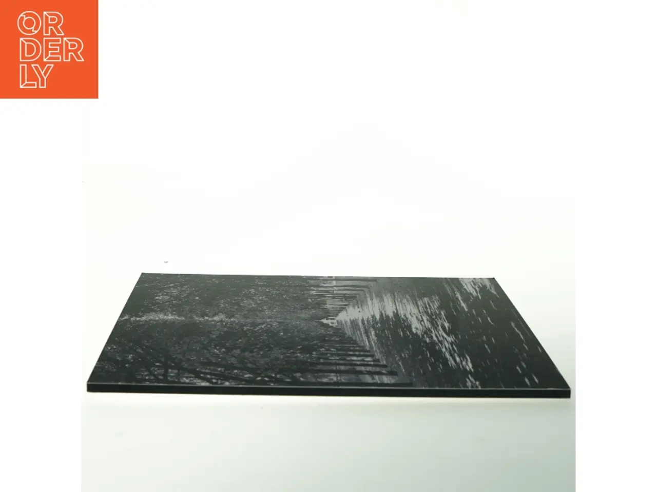 Billede 3 - Sort/hvid billede af en træallé (str. 32. x 24 cm)