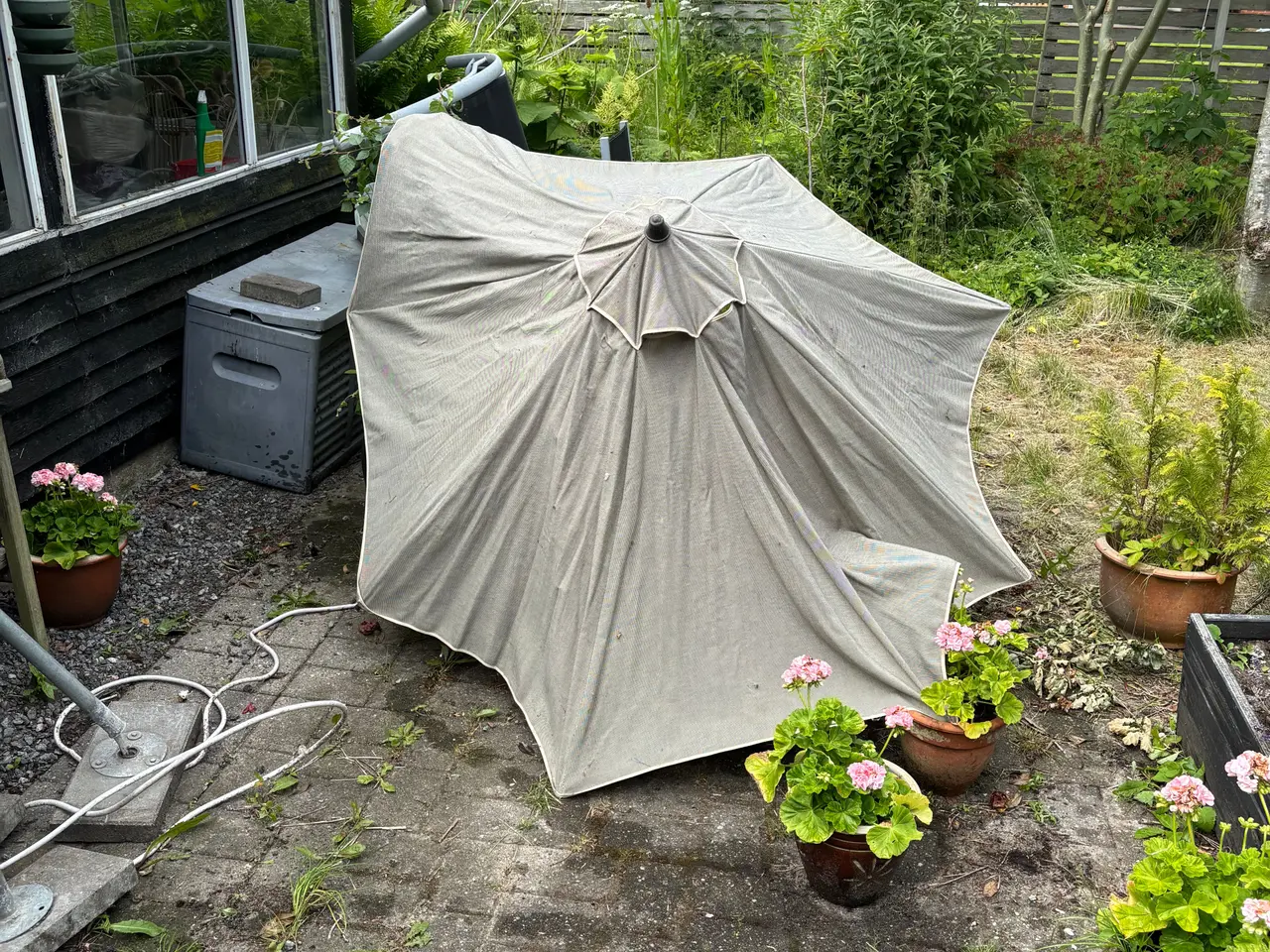 Billede 1 - Parasol