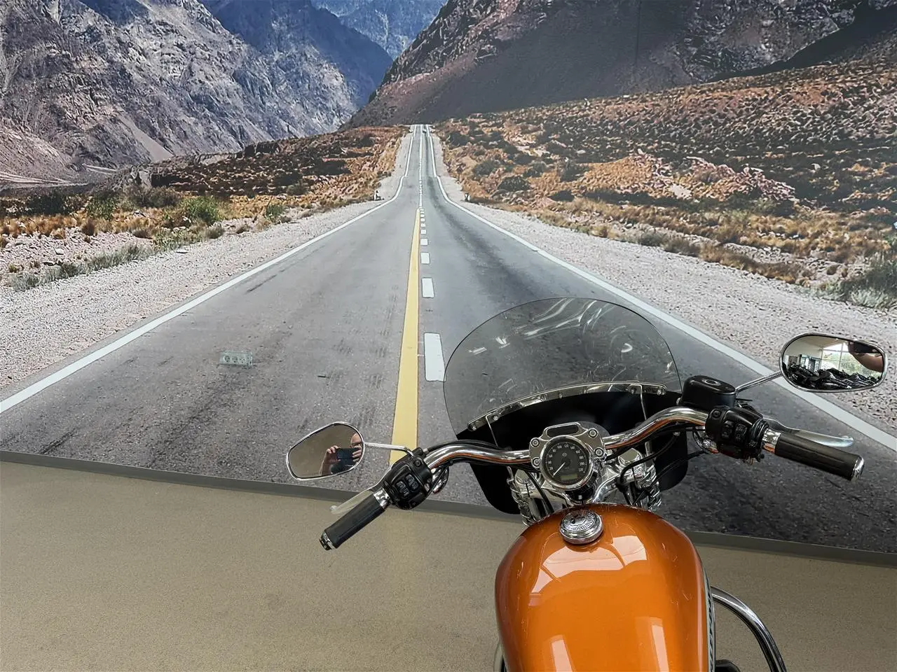 Billede 19 - Harley-Davidson XL 1200 CA Custom Limited A Sportster