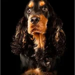 Ragper
