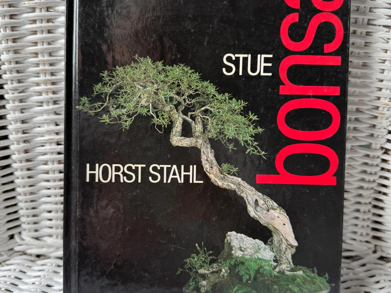 Billede 4 - Bonsai bøger Hugning i sten Japansk home