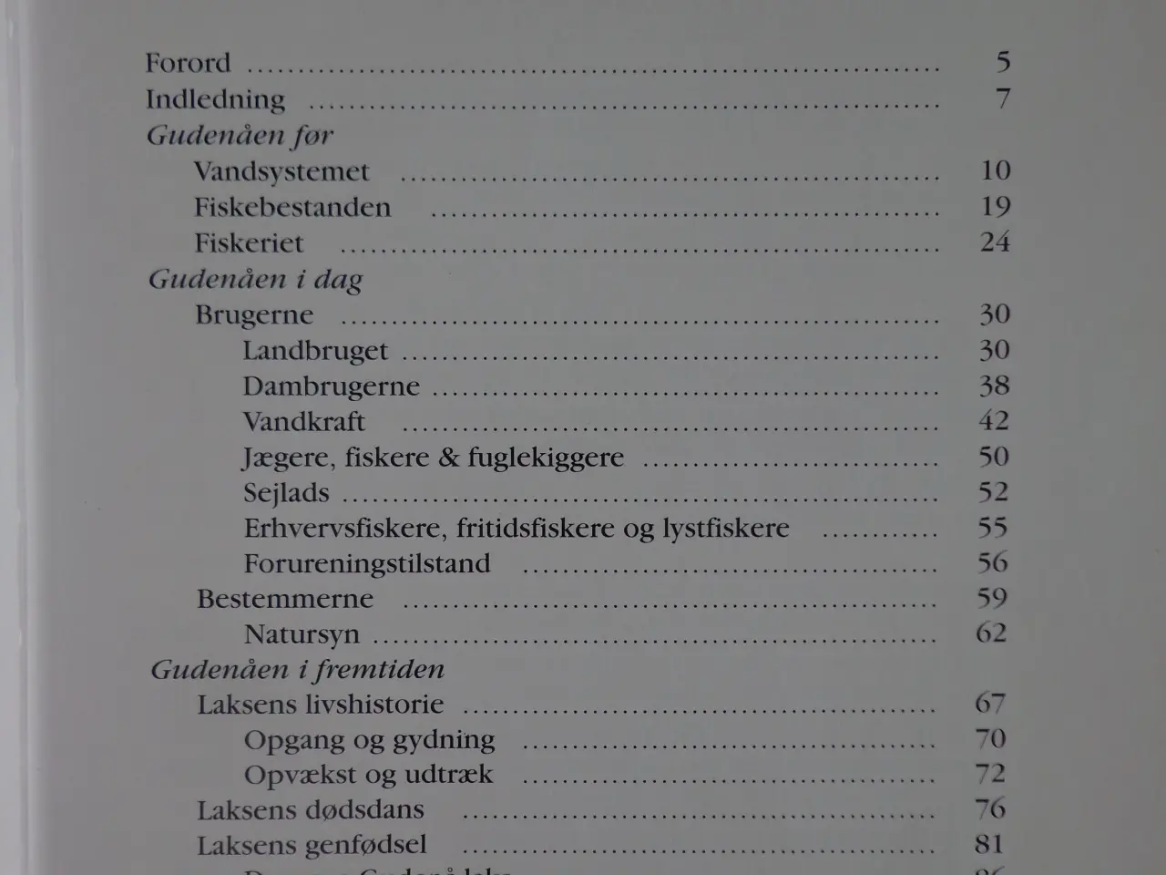 Billede 4 - Laks i Gudenåen  :