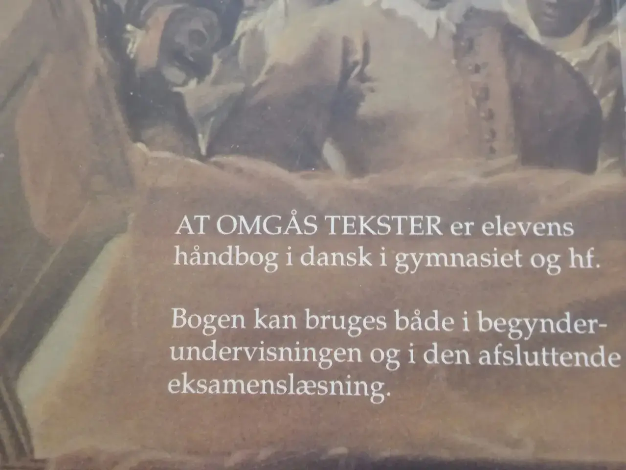 Billede 2 - At omgås tekster