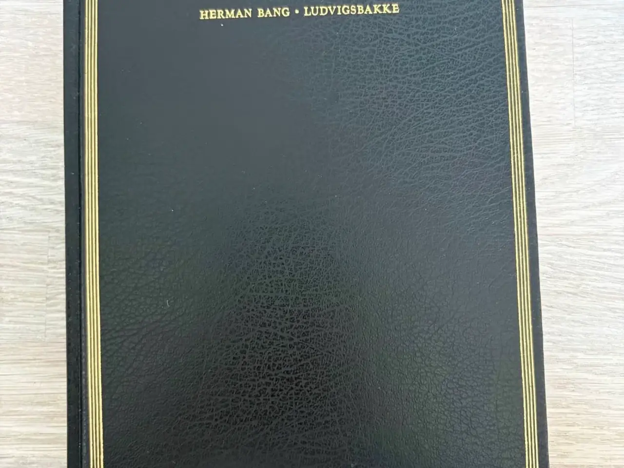 Billede 1 - Herman Bang Ludvigsbakke bog