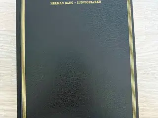 Herman Bang Ludvigsbakke bog
