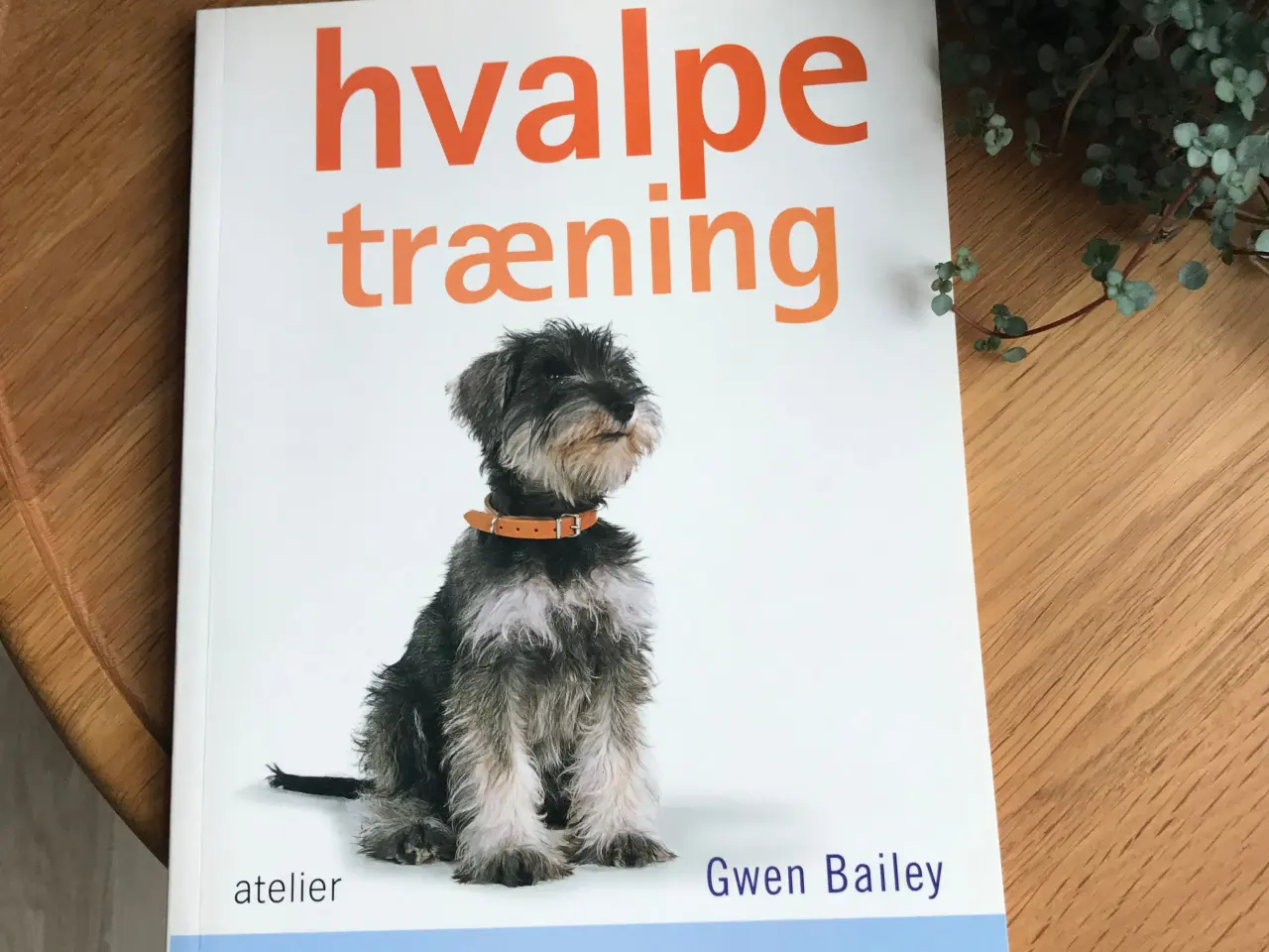 Billede 1 - hvalpetræning af Gwen Bailey