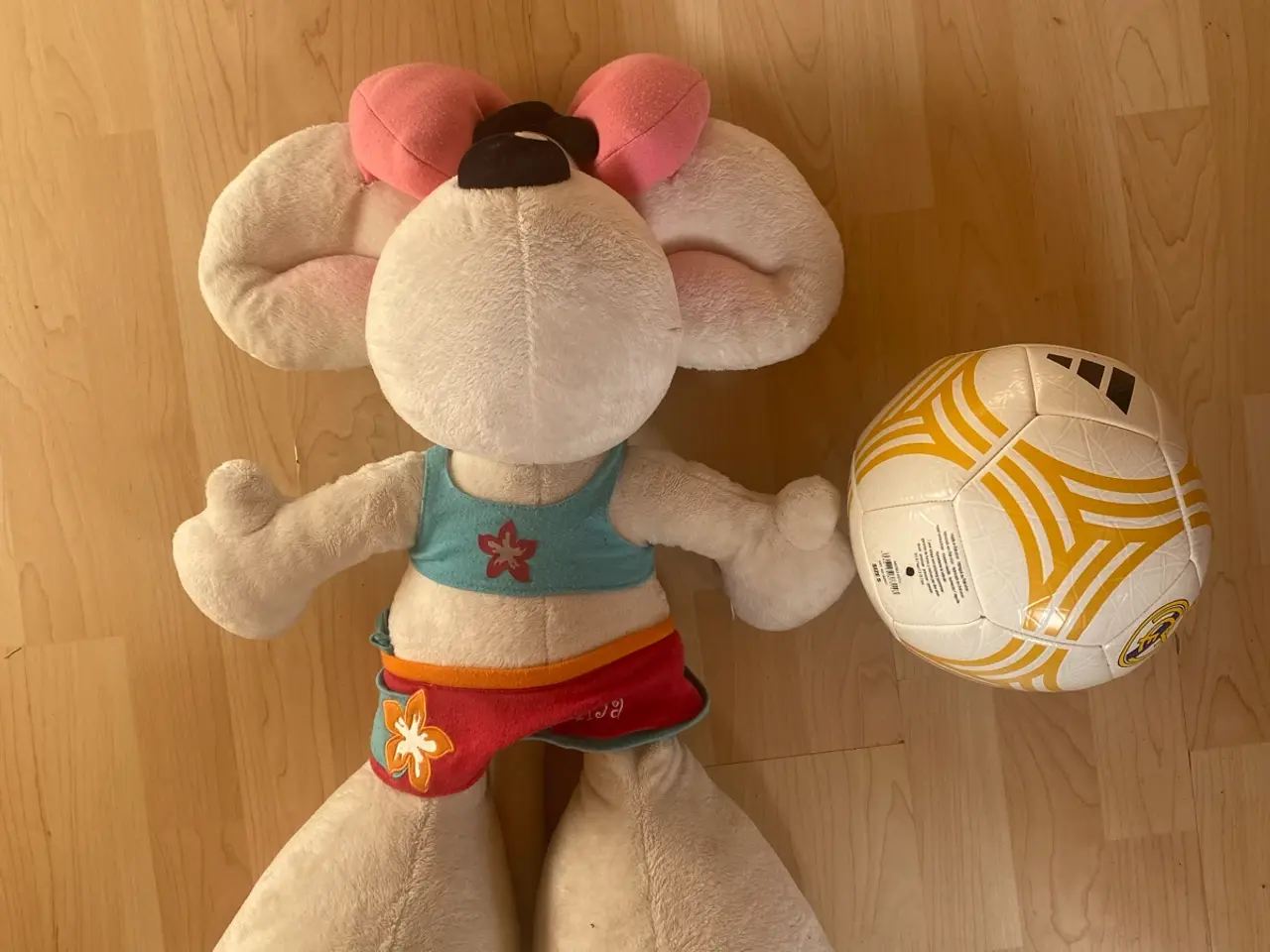 Billede 2 - Mellem stor diddl bamse