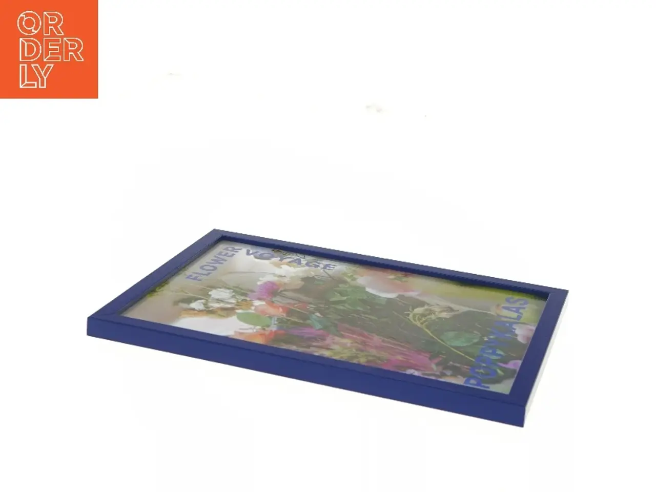Poppy Kalas Flower voyage indrammet poster/plakat (str. 32x23 cm ...
