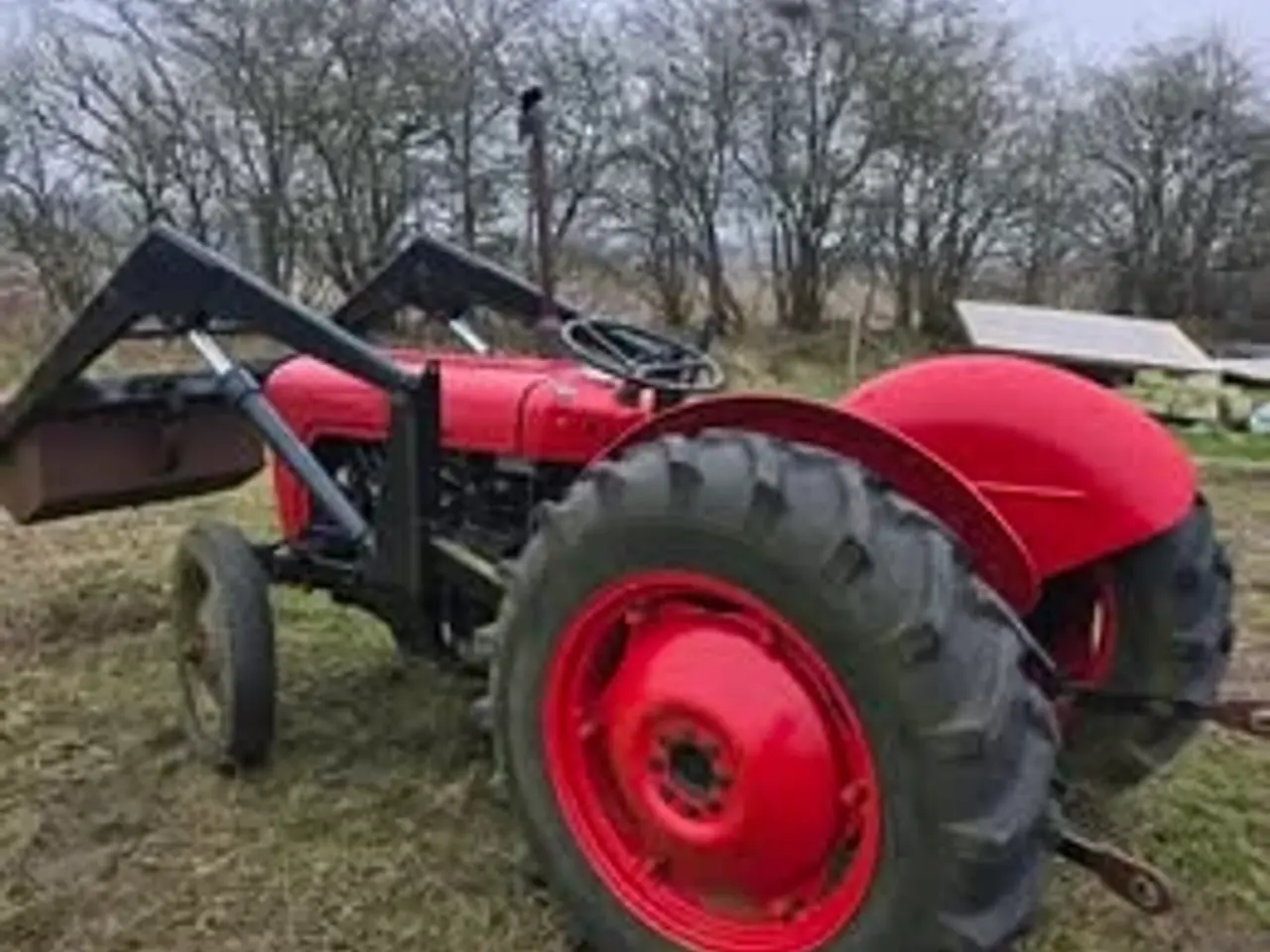 Billede 6 - Massey ferguson MF35 benzin