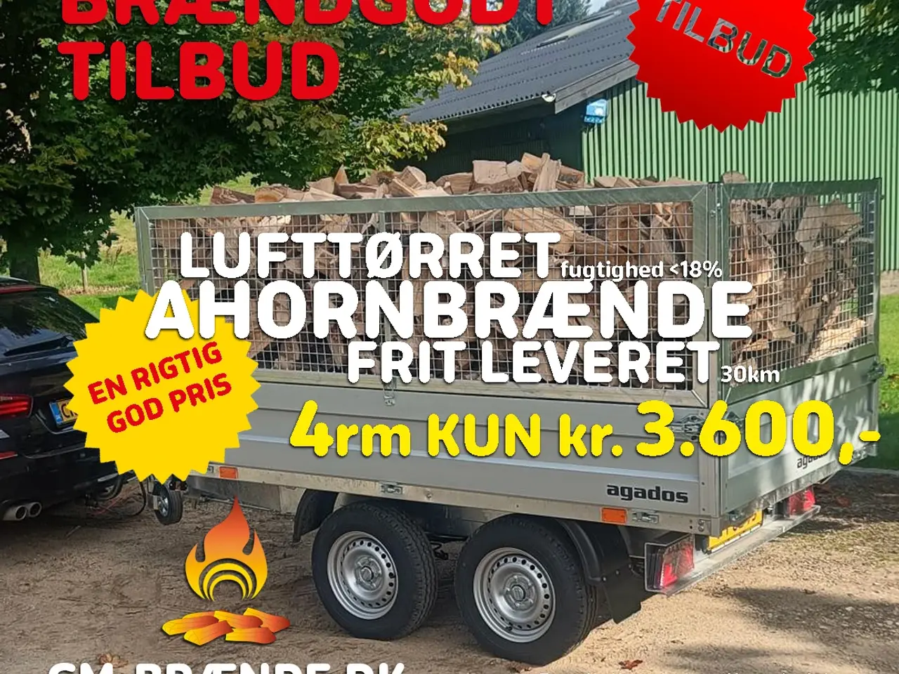 Billede 1 - 4 RM. Ahorn Brænde frit leveret