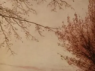Skrifter i udvalg. Af Søren Kierkegaard