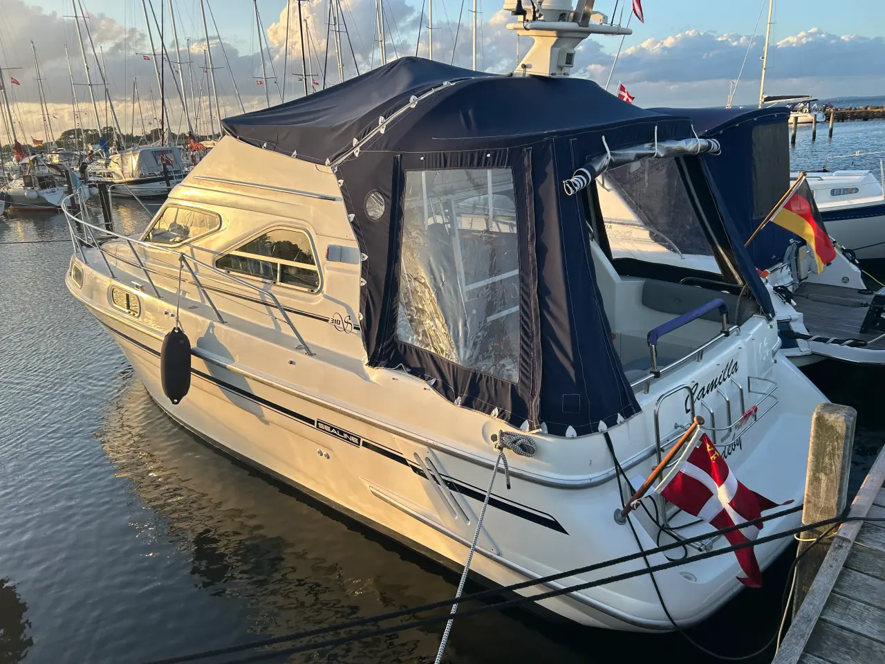 Billede 6 - Sealine 310