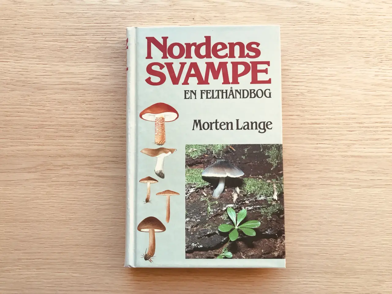 Billede 1 - Nordens Svampe - En felthåndbog