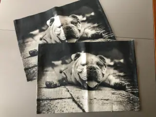 Dækkeservietter med motiv af engelsk bulldog