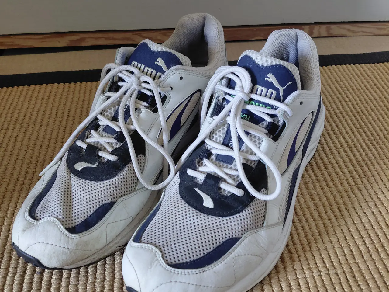 Billede 1 - Puma Trinomic sko.