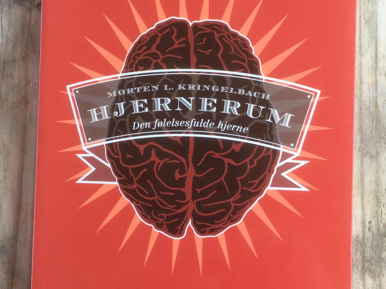 Billede 1 - Hjernerum - den følelsesfulde hjerne