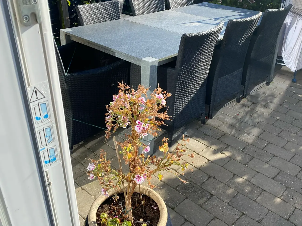 Billede 1 - Granit bordplade i 3 stk l.205 b. 100