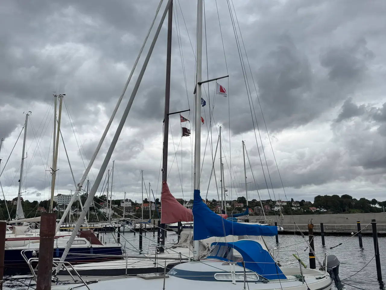 Billede 2 - LM 22