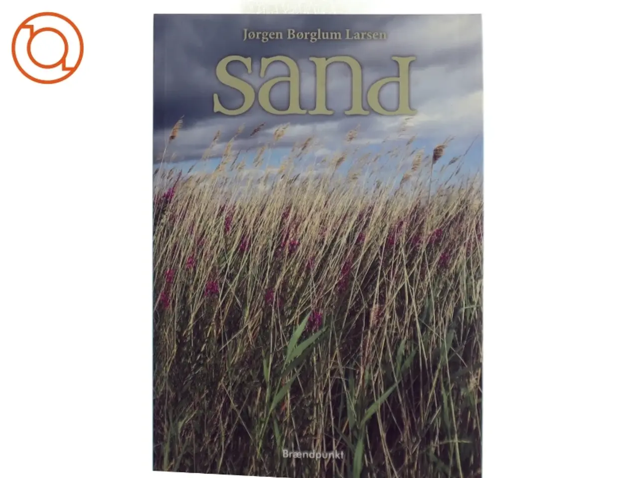 Billede 1 - Sand : roman af Jørgen Børglum Larsen (Bog)
