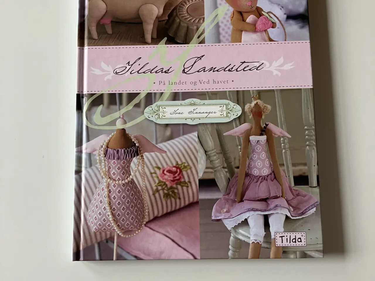 Billede 1 - Tildas landsted. Av Tone Finnanger (Norsk)