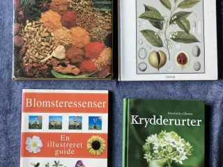 Bøger om urter og sund mad – se pris på hver