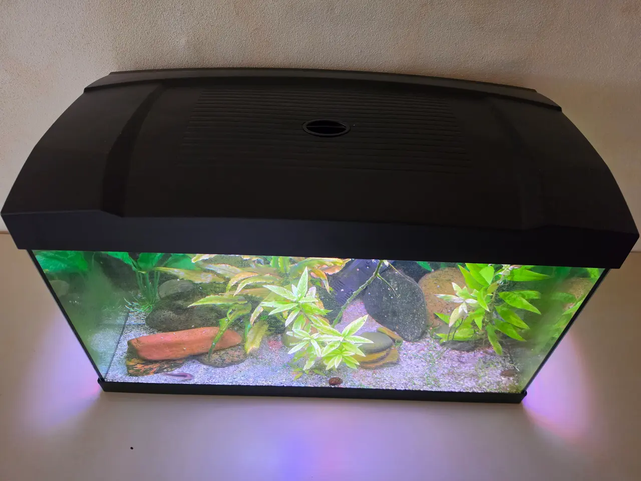Billede 4 - STARTERSÆT 57 LTR. M/ 6 WATT LED 60X30X36,50 Cm 