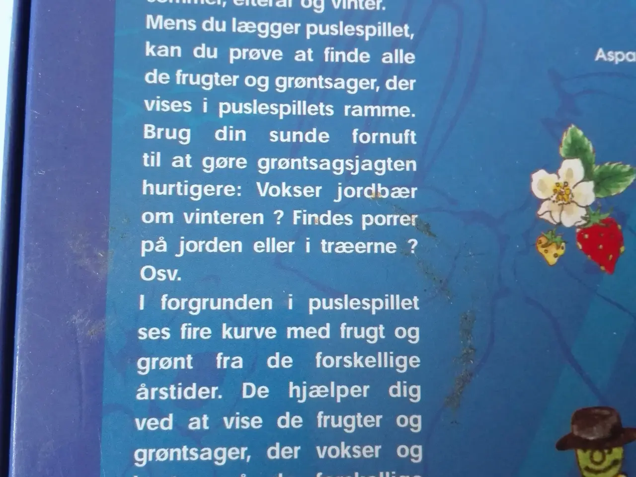 Billede 3 - De fire Årstider