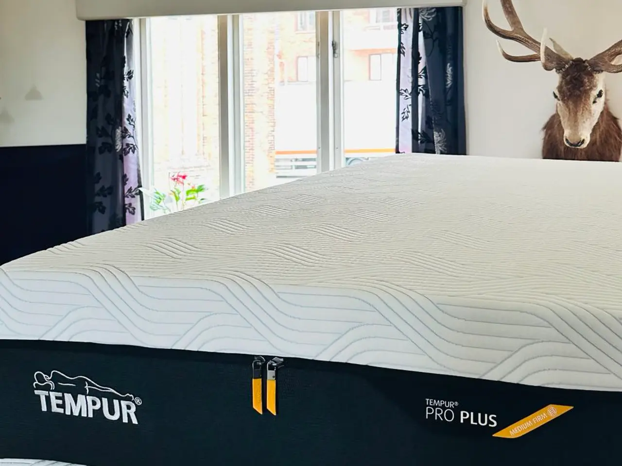 Billede 1 - Tempur Pro Plus i Medium Firm Hybrid