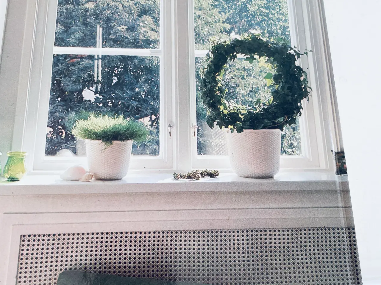 Billede 9 - Alt om stueplanter 6