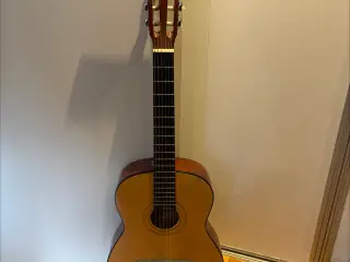 Pearl river akustisk guitar