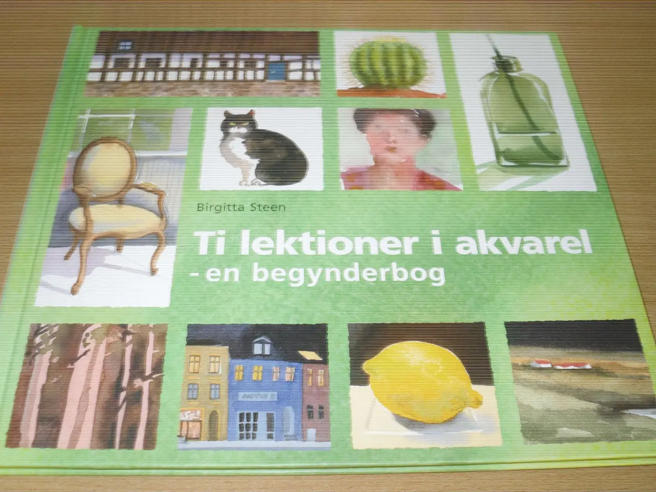 Billede 2 - Birgitta Steen. Ti lektioner i AKVAREL.