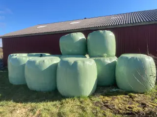 Fin Wrap hø