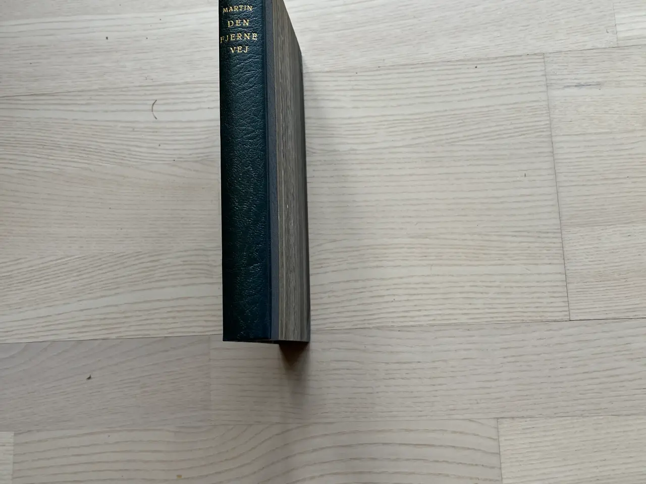 Billede 1 - Den fjerne Vej af Hans Martin