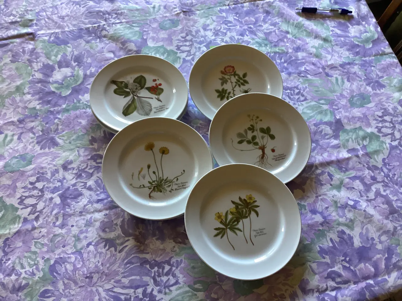 Billede 2 - 7stk. Faxe Flora frokosttallerken.