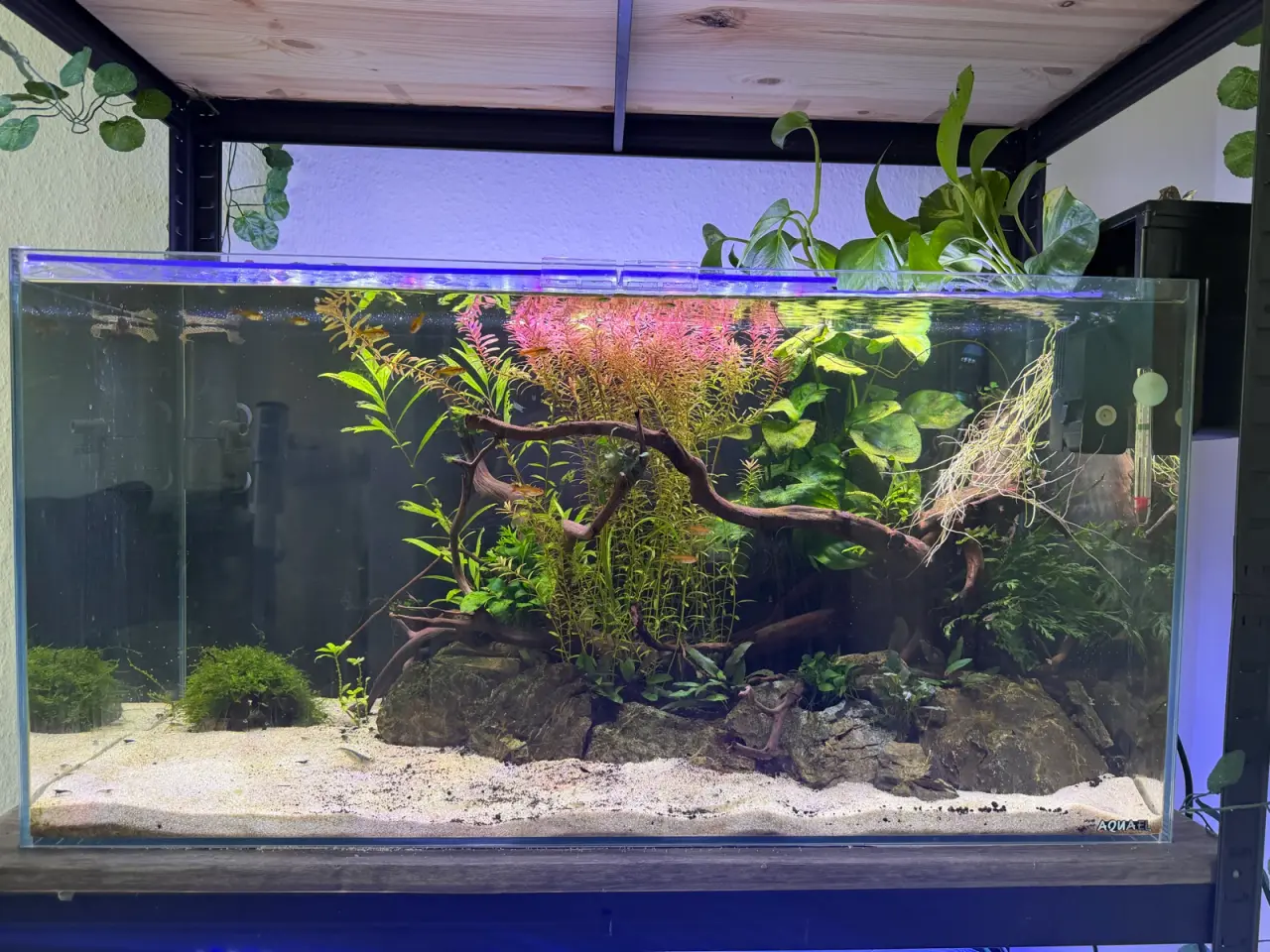 Billede 1 - Aquael Opti Tank 80 - 112L