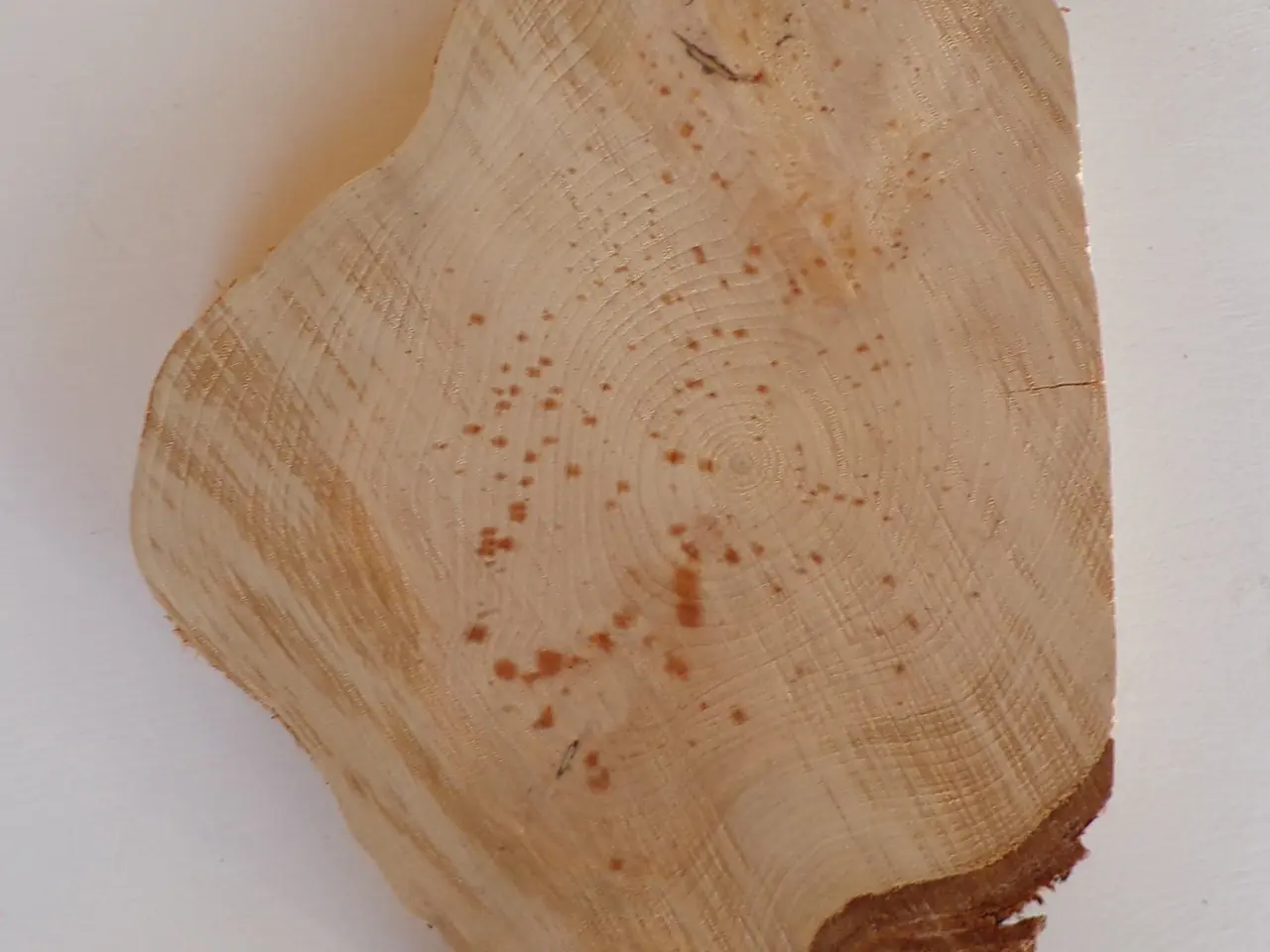 Billede 3 - NY Thuja Træskive 27,5 cm