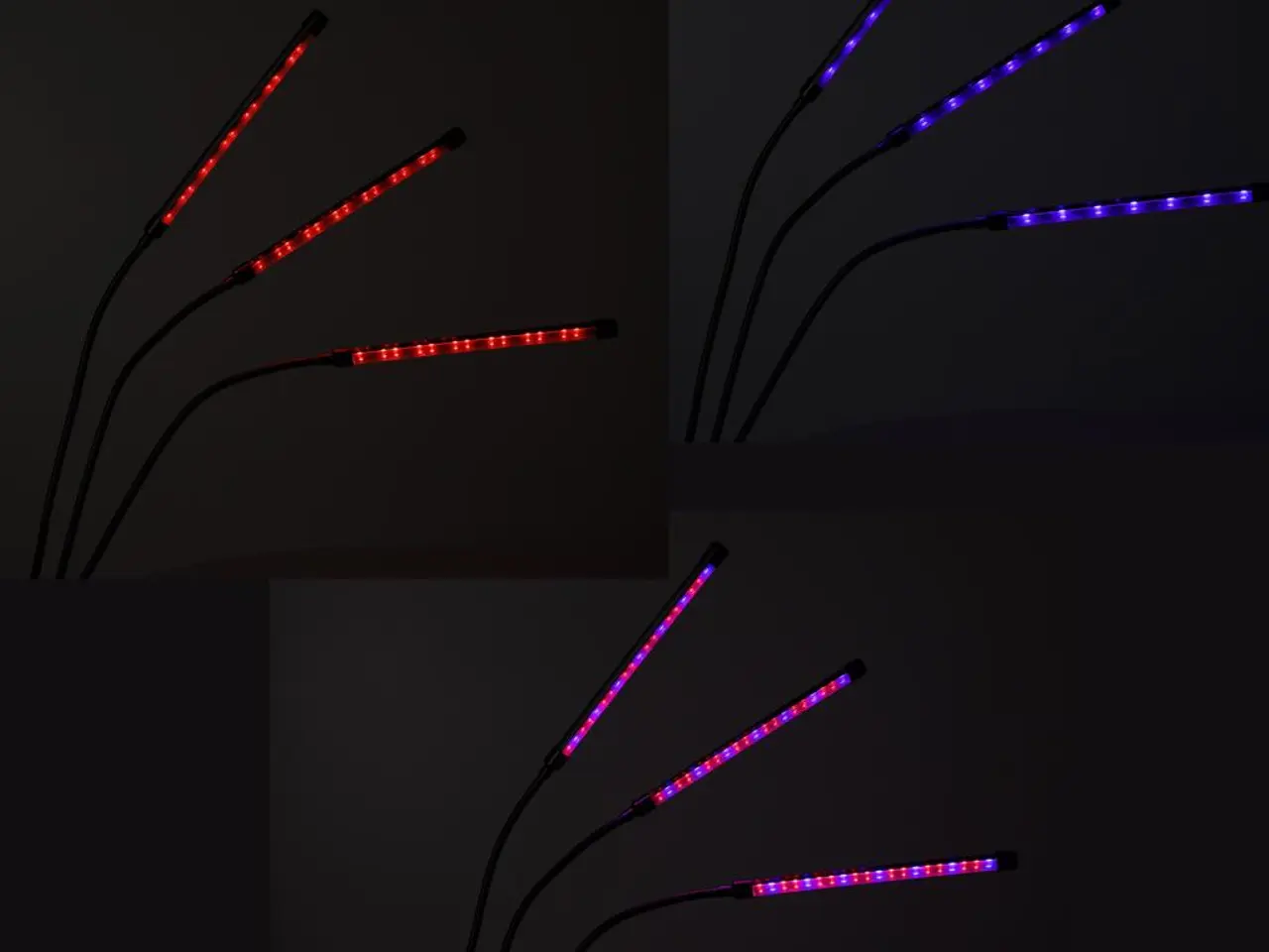Billede 5 - Plantevækst LED-lampe med 3 arme - 70 cm, sort