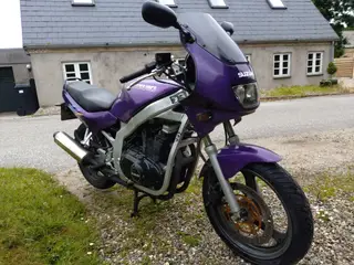Suzuki GS500E