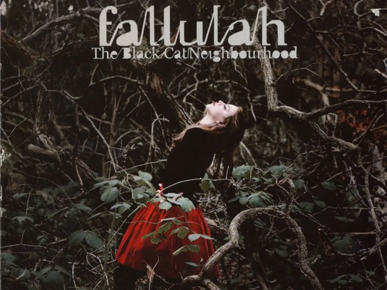 Billede 1 - Fallulah – The Black Cat Neighbourhood – CD